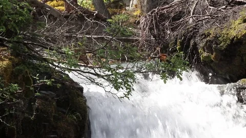 Waterfall Stock Footage 79576588