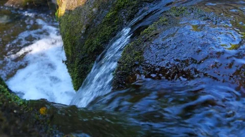 Waterfall Stock Footage 81509941