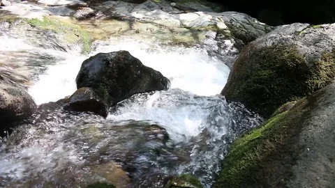 Waterfall Video stock 81619668