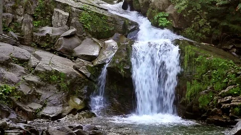 Waterfall 库存影片 81627330