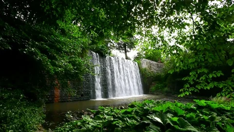 Waterfall Video stock 81695975