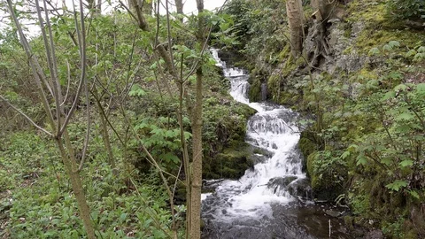 Waterfall Stock Footage 89417545