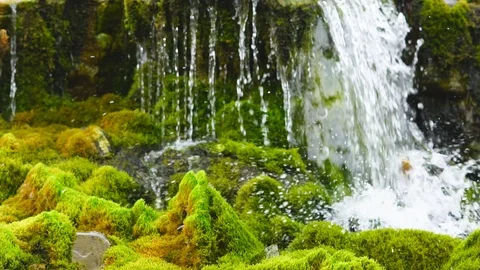 Waterfall 库存影片 89457588