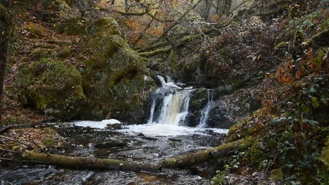 Waterfall Stock Footage 98298323