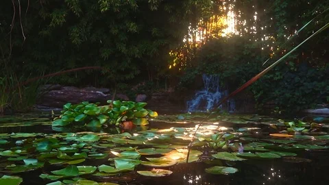 Waterfall Stock Footage 113175995