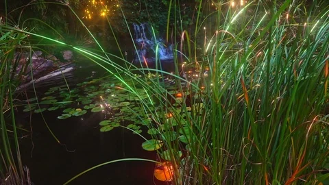 Waterfall Stock Footage 113176765