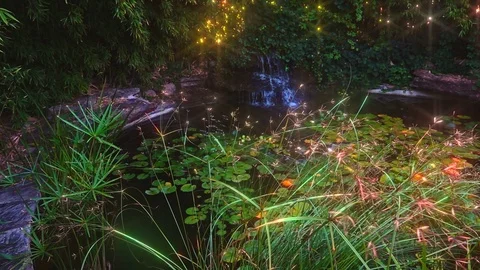 Waterfall Stock Footage 113177143