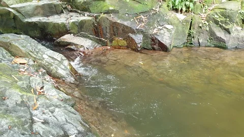 Waterfall Stock Footage 115219131