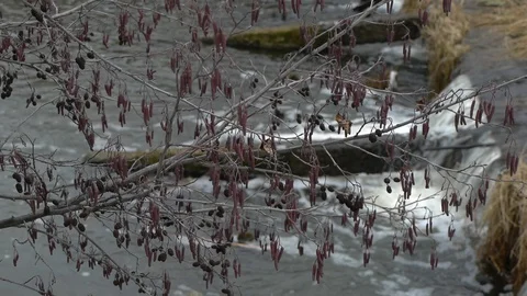 Waterfall Stock Footage 122840564