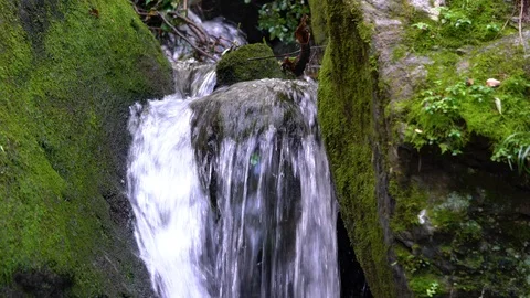 Waterfall Stockbeeldmateriaal 123949591