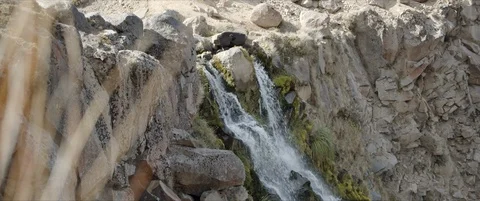 Waterfall Video stock 128462775