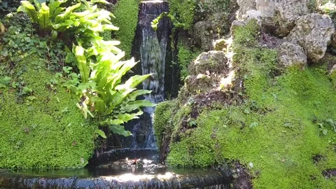 Waterfall. Stock Footage 134066667