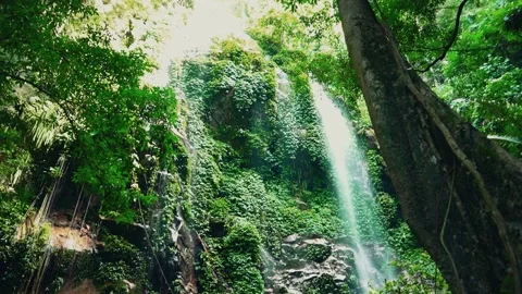 Waterfall Video stock 142775576