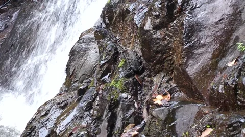 Waterfall Stock Footage 146594917