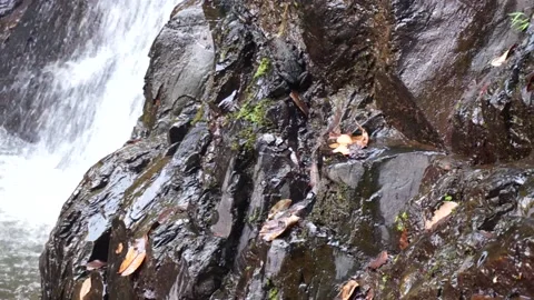 Waterfall  Stock Footage 146594952