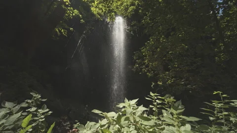 Waterfall Видео 151458298