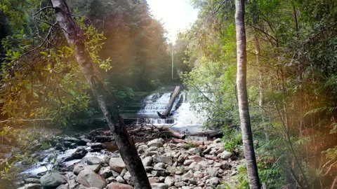 Waterfall Stock Footage 154149872