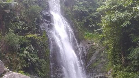 Waterfall Stock Footage