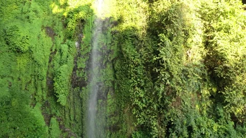 Waterfall. Stock Footage 170684731