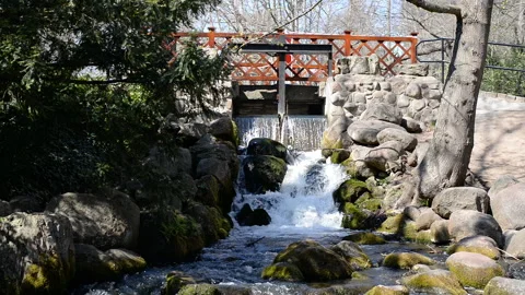 Waterfall Stock Footage 183974097