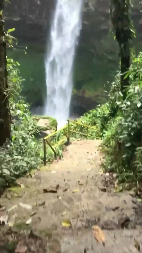 Waterfall Video stock 197738318