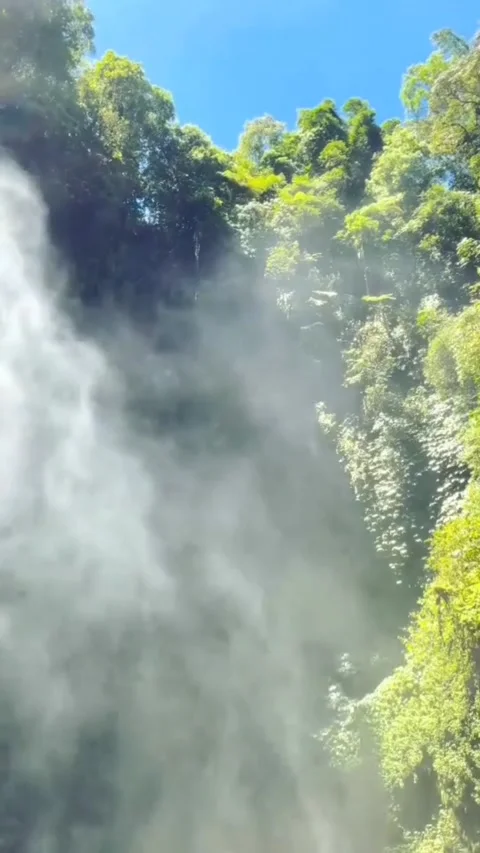 Waterfall Video stock 203880713