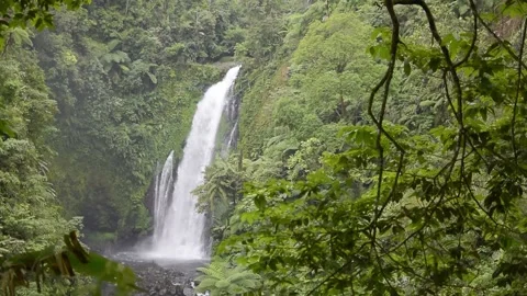 Waterfall 動画素材 205683266