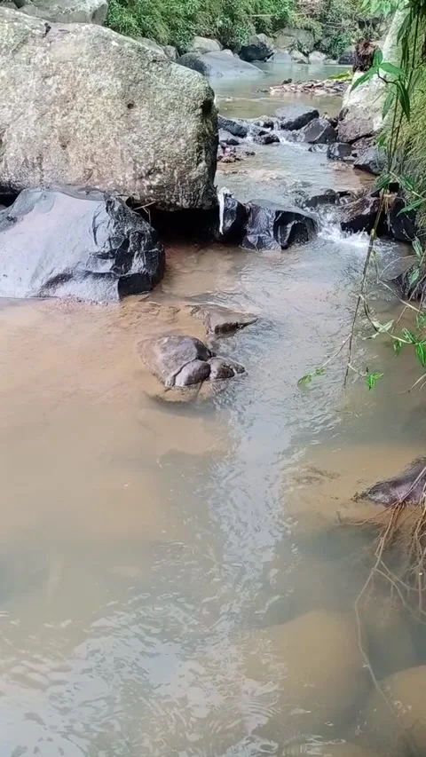 Waterfall 動画素材 205819546