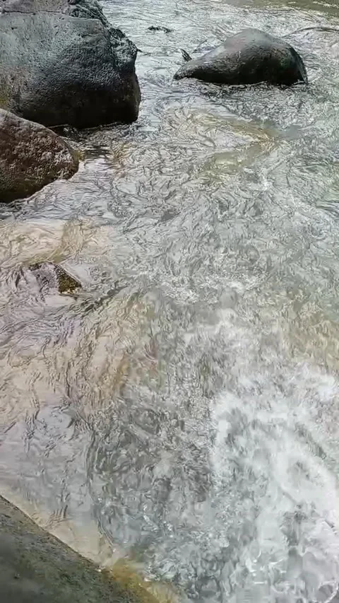 Waterfall 動画素材 205821170