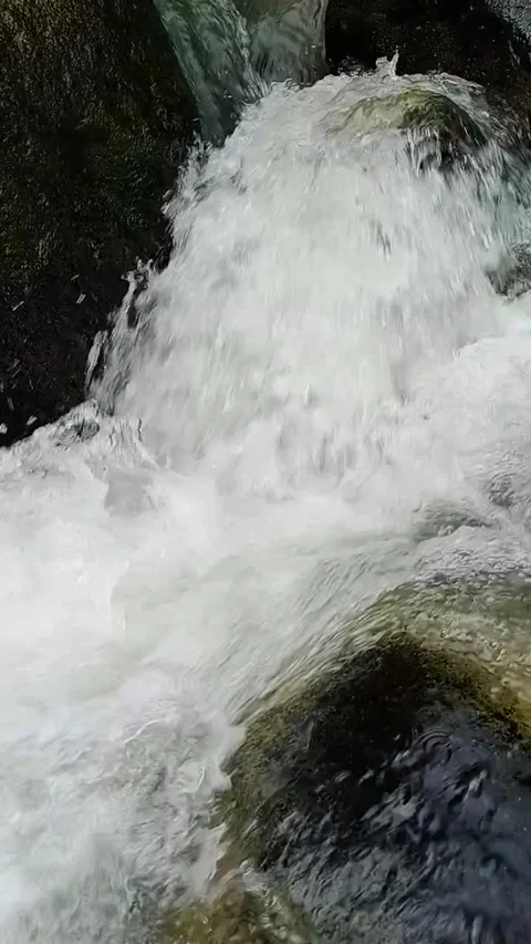 Waterfall 動画素材 206308350