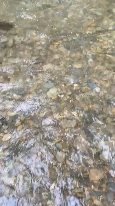 Waterfall 動画素材 206631563