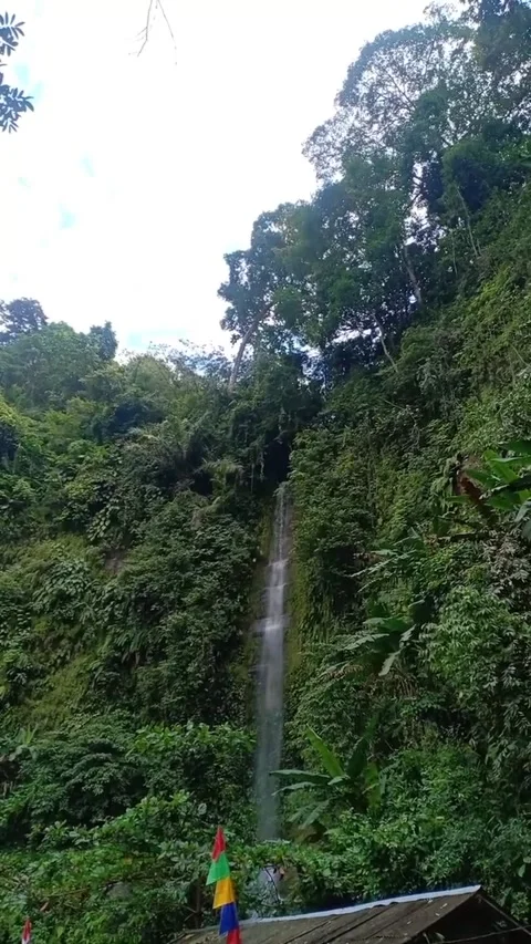 Waterfall Video stock 208897997