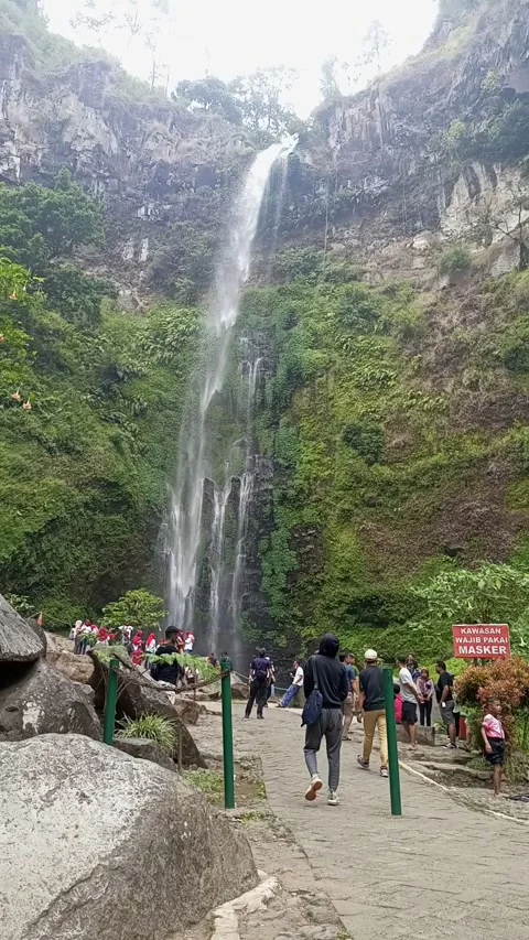 Waterfall Video stock 209594679