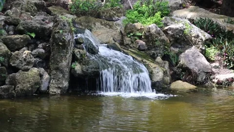 Waterfall Stock Footage 219588579