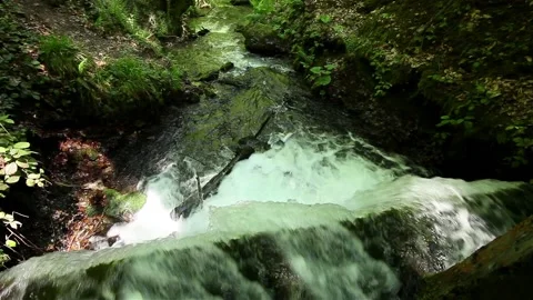 Waterfall 스톡 동영상 219856153