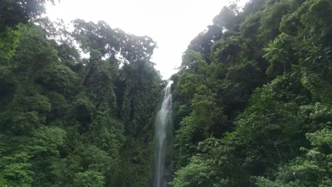 Waterfall Video stock 219996790