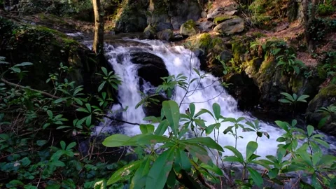 Waterfall Stock Footage 221922291