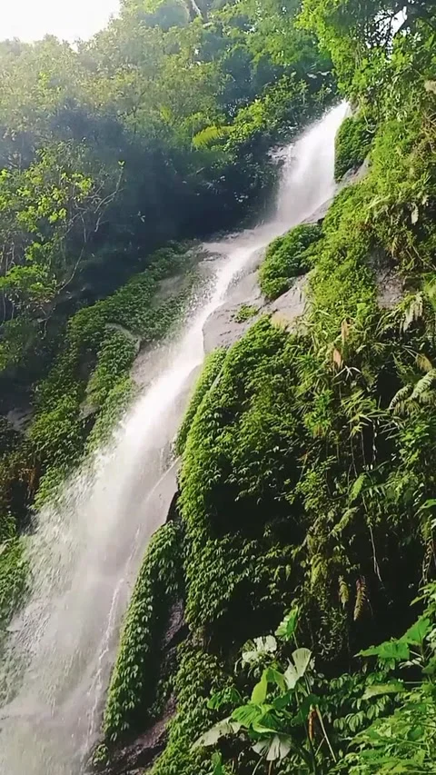 Waterfall Stock Footage 223883131