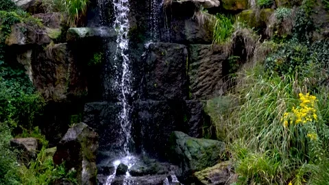 Waterfall Stock Footage 225432739