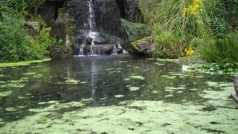 Waterfall Stock Footage 225432769