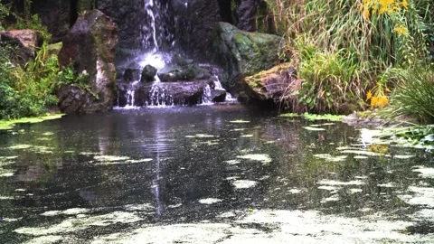 Waterfall Stock Footage 225432804