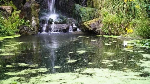 Waterfall Stock Footage 225432809