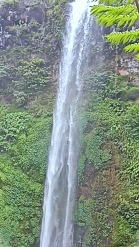 Waterfall Stock Footage 228762484