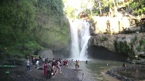 WATERFALL 動画素材 230395203