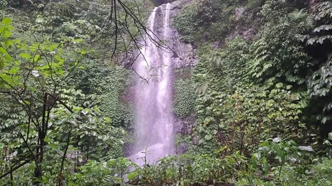 Waterfall 스톡 동영상 231046770