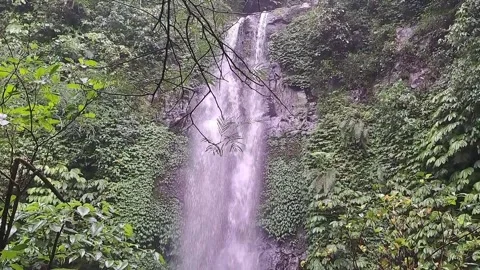 Waterfall 스톡 동영상 231046777