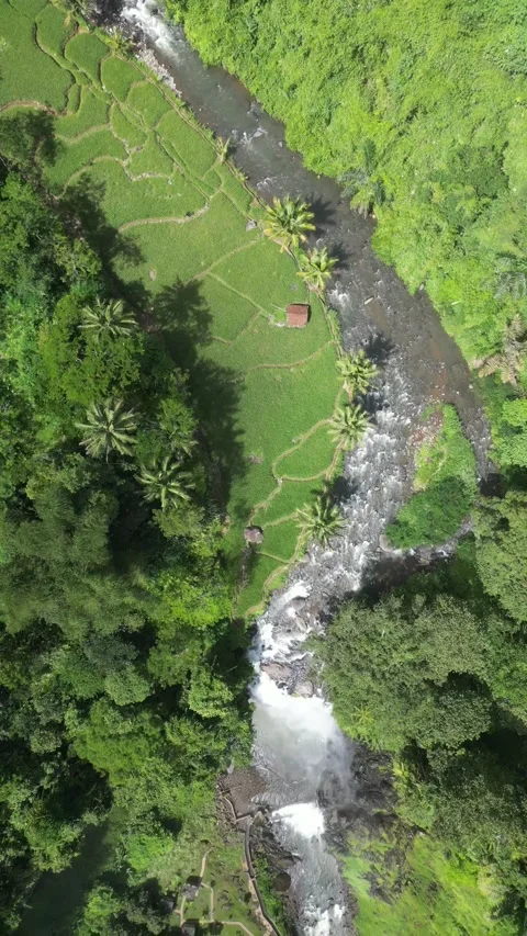 Waterfall 動画素材 238700422