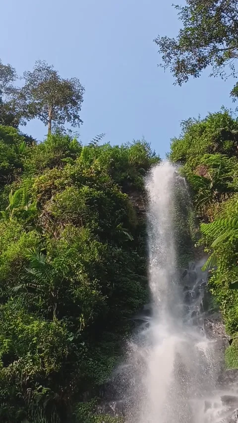 Waterfall Stock Footage 239984116