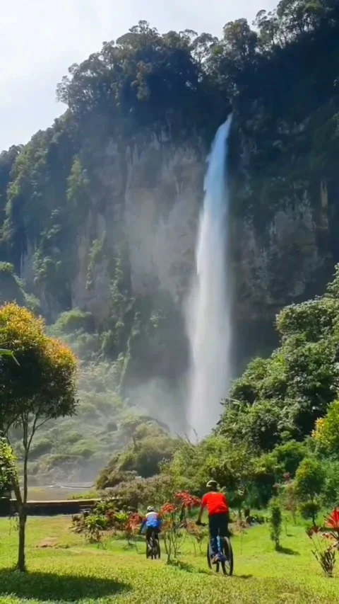 Waterfall Stock Footage 241638351