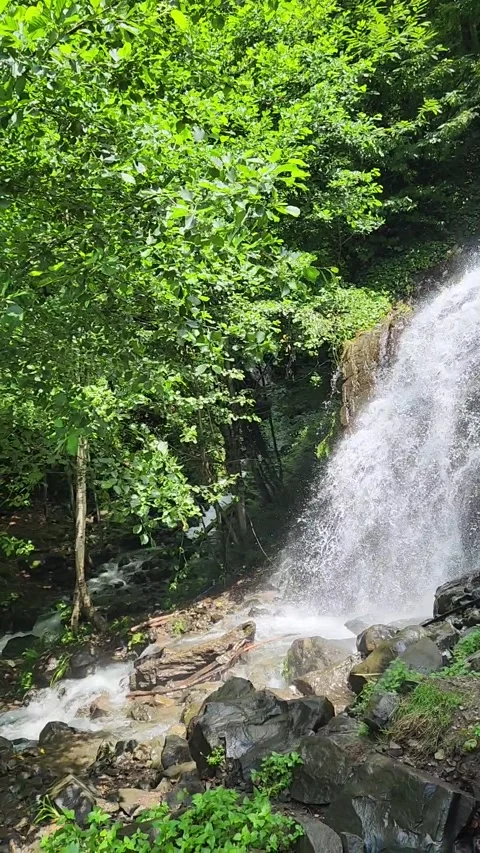 Waterfall Stock Footage 252137036